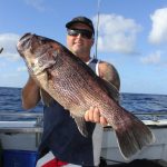 spencer dhu fish Abrolhos Islands fishing WA