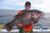 Dhu fish Abrolhos Islands fishing charter