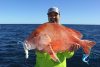 Massive Red Emperor Soft Plastic WA fishing charter