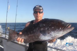 Dave rankin cod Montebello Islands 2016 Fishing Charter