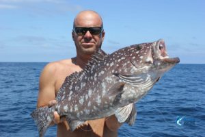 Blue Lightning Charters WA's best fishing charters Montebello Islands Rankin Cod