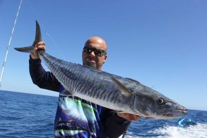 Spanish Mackerel Blue Lightning Charters WA's best fishing charters Montebello Islands