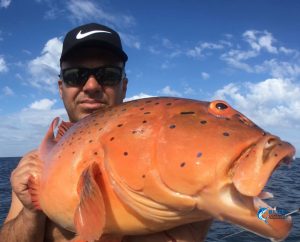Coral Trout Blue Lightning Charters WA's best fishing charters Montebello Islands