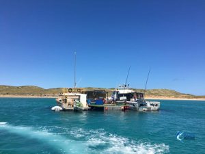 Blue Lightning Charters WA's best fishing charters Montebello Islands