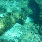 Tryall Wreckage Montebello Islands underwater Blue Lightning Fishing Charters WA