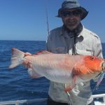 Coral Trout Montebello Islands WA fishing charter