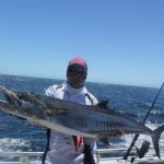 Montebello Islands Fishing charter Blue Lightning charters Mackerel