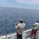 Montebello Islands WA best fishing Blue Lightning Charters Mackerel