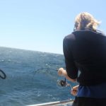 Montebello Islands Fishing shimano stella
