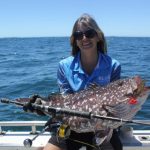Shimano Stella Rankin Cod Montebello Islands WA fishing charter
