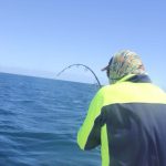 GT Giant Trevally Montebello Islands WA fishing charter