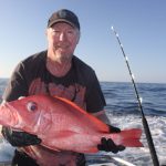 Scarlet Sea Perch WA fishing charter Blue Lightning Fishing Charter