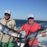 Spanish Mackerel montebello Islands WA fishing