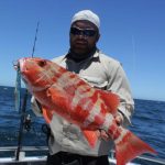 Chinaman fish Montebello Islands WA fishing