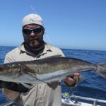 Cobia Montebello Islands WA fishing charter Blue lightning charters