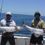 spanish mackerel montebello Islands wa fishing charter blue lightning charters