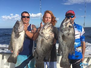 Dhu Fish Abrolhos Islands triple hook up live aboard fishing charter