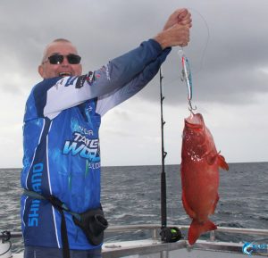Coral Trout trolling Abrolhos Islands