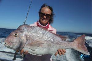 Pink Snapper Abrolhos Islands Fishing Blue Lightning Charters