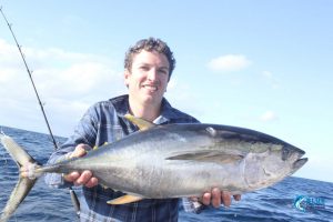 yellow fin tuna novice fisherman abrolhos islands