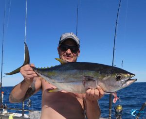yellow fin tuna Montebello Islands WA blue lightning fishing charters