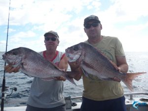 Pink Snapper Abrolhos Islands WA fishing charter