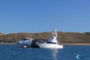 Blue Lightning charters pontoon cod cave montebello islands home