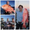 Week 4 montebello islands fishing collage blue lightning charters
