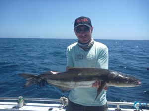 Cobia Montebello Islands fishing charter