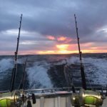 Abrolhos islands game fishing